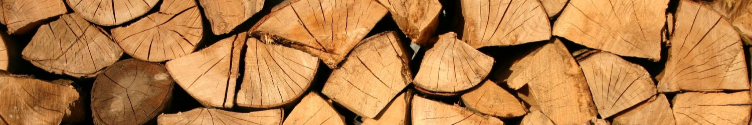 Firewood Logs