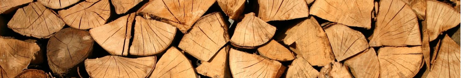Camp Wood